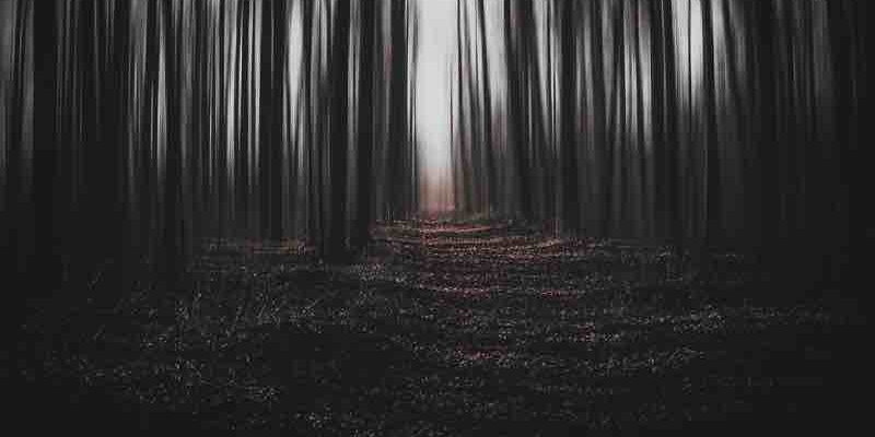 Rüyada Karanlık Orman Görmek Ne Anlama Gelmektedir?