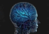 Harvard Ve Google İnsan Beyninin En Ayrıntılı Haritasını Çıkardılar!