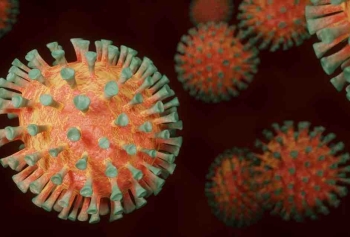 Japon Bilim Adamları Sadece Erkekleri Öldüren Virüs Keşfetti! 