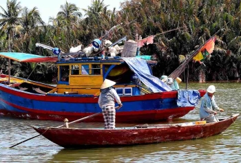 Vietnam'da Rekor Sıcak Dalgası Milyonlarca Balığın Ölümüne Neden Oldu! 