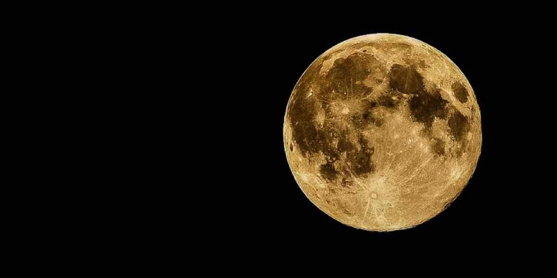 Rus Araştırmacıların Hedefi Ay'a Hayat Götürmek! 