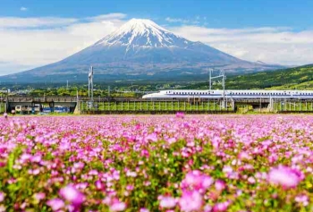 Japonya'da Günlük Hayat Hakkında Bilgiler!