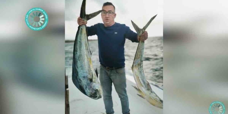 Çanakkale'de Balıkçının Lambuka Şansı! 