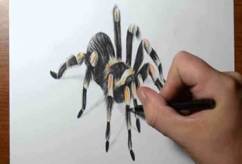 Tarantula Nasıl Çizilir? 