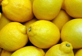 1 Ayda 20 Kilo Nasıl Verilir? İşte Haşlanmış Limon Kürü Tarifi! 