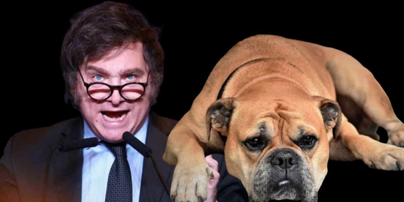 Arjantin'in Yeni Başkanı Javier Milei'den Dikkat Çeken Açıklama! 'Adaylığımı Koymamı 5 Köpeğim İstedi!'