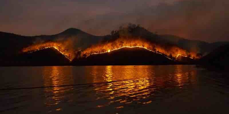 Yunanistan'daki Orman Yangınlarının Kaynağı Nedir? Açıklama Geldi! 