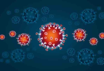 Prof. Dr. Mehmet Ceylan Corona Virüsü Salgınının Nasıl Durabileceğini Anlattı! 