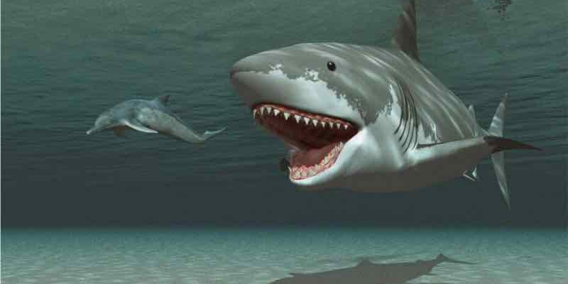 Günümüzde Megalodon Köpekbalığının Yaşadığının 5 Kanıtı! 