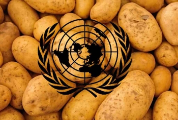 Birleşmiş Milletler 30 Mayıs'ı Dünya Patates Günü İlan Etti! 