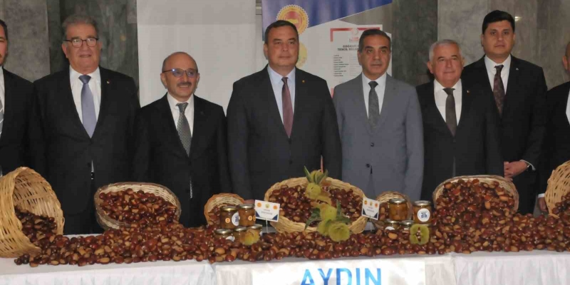 Aydın’da sezonun ilk kestanesi kilosu 550 TL’den alındı