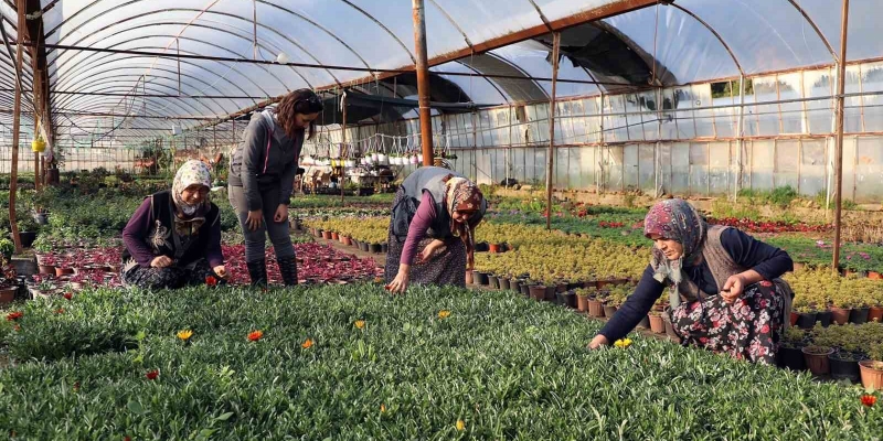 Kadın emeğiyle yerel kalkınma güçlendiriliyor