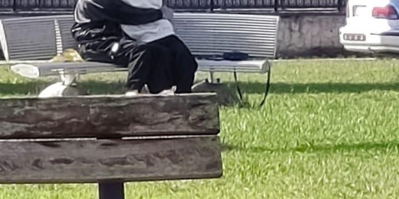 Parkta uygunsuz hareketler tepki çekti: Uyarılara rağmen devam ettiler