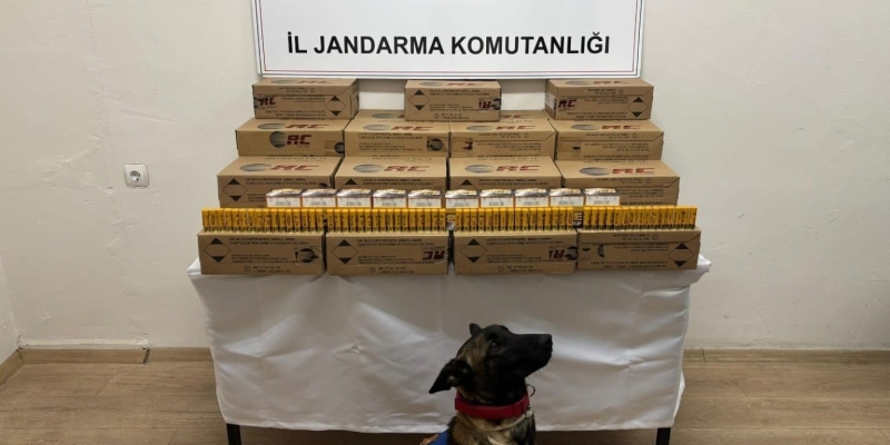 Jandarma 10 bin adet kaçak av tüfeği mermisi ele geçirdi