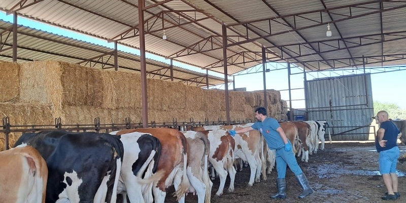 Köşk’te 12 mahalle karantinaya alındı