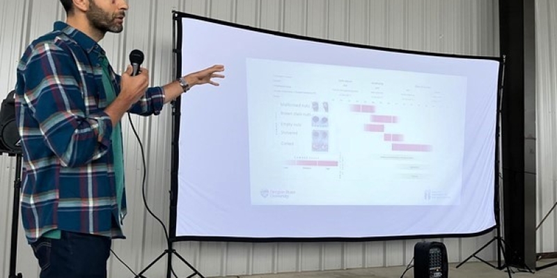 ABD’de, kahverengi kokarca ile mücadeleyi anlattı