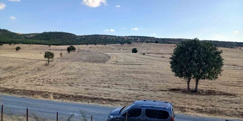 Kulp’ta sağanak başladı, çiftçiler umutlandı