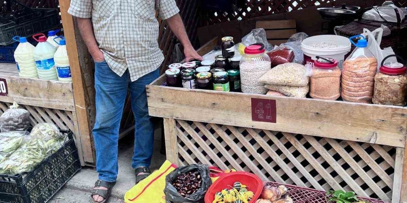 Türkeli’de kestane ve fesleğen mantarı tezgahlarda