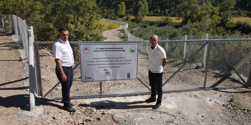 Domuzların talan ettiği çeltik tarlaları, devlet desteğiyle yeniden verimli hale getirildi