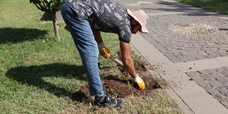 Roma döneminden esinlenildi: Diyarbakır Müzesinde ’Sütunlu Yol’ dönemi başlıyor