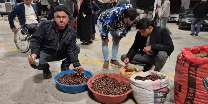 Kuzu kestane sıkı pazarlıklarla alıcı buluyor