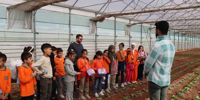 Şanlıurfa’da öğrenciler doğa ve tarımla buluşuyor