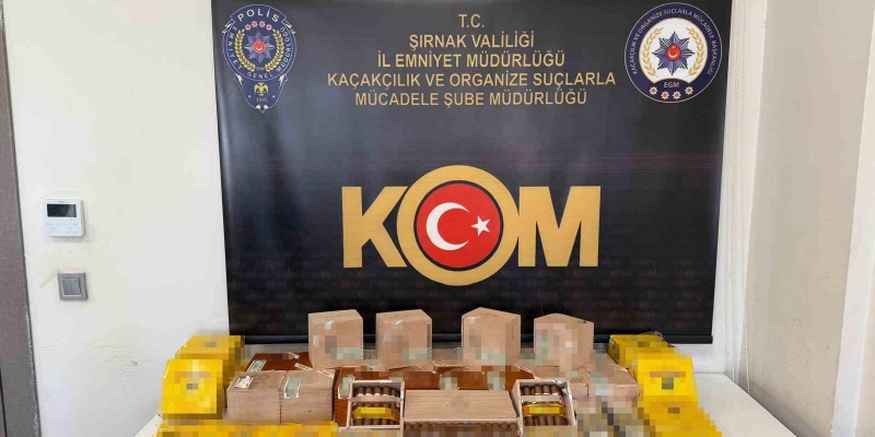 Şırnak’ta narkotik, kaçakçılık ve asayiş operasyonu: 3 tutuklama