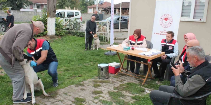 Son tarih 31 Aralık 2025