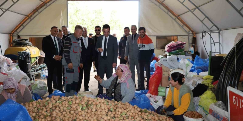 Dinar’da ceviz hasadı başladı