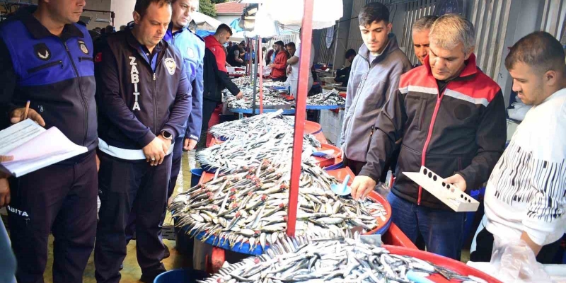 Yenişehir’de balık pazarı’na sıkı denetim