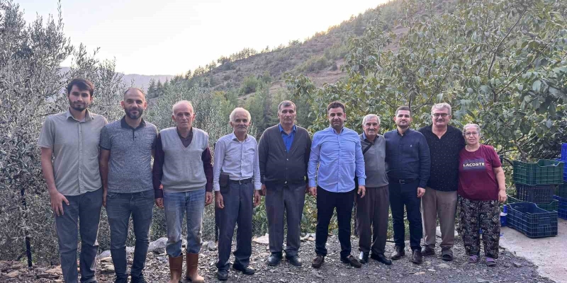 Antalya’da coğrafi işaretli çekirdeksiz narın hasadı başladı
