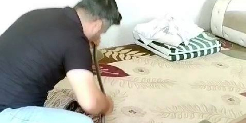 İnsanlar korkularından konteynere giremezken o elleriyle 1 metrelik yılanı yakaladı