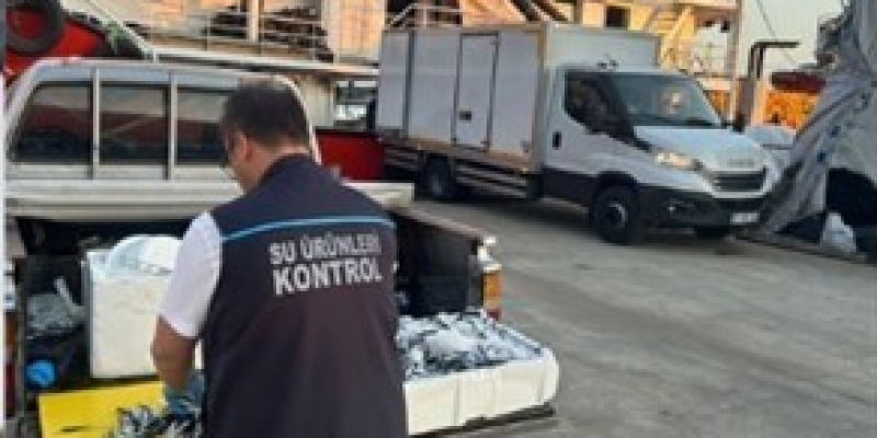 Trabzon’da usulsüz hamsi çıkışına 37 bin TL ceza