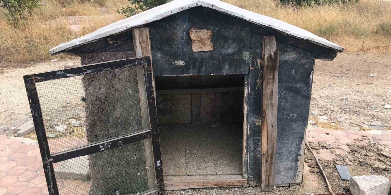 Cinayete kurban giden şahsın kuşları beslediği kafes boş kaldı