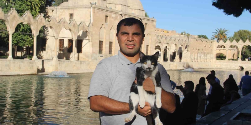 Balıklıgöl’e düşen kedi kalp masajıyla hayata döndü