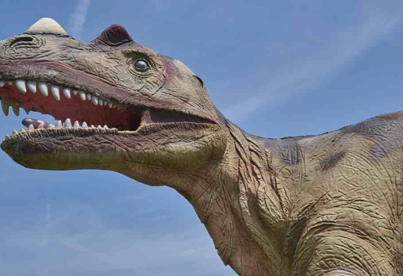 Dünyanın Gelmiş Geçmiş En Kilolu Hayvanı Brachiosaure! 