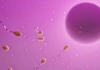Bilimsel Verilen İçin Verilen Spermlerle İki Çocuk Doğurttu! 