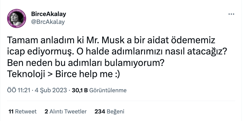 birce akalay dan elon musk a mavi tik tepkisi